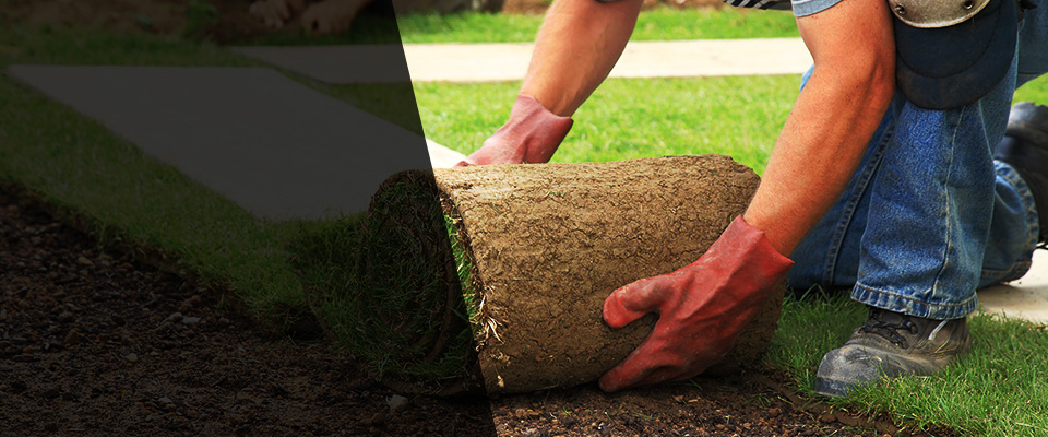 Stonington Landscapers